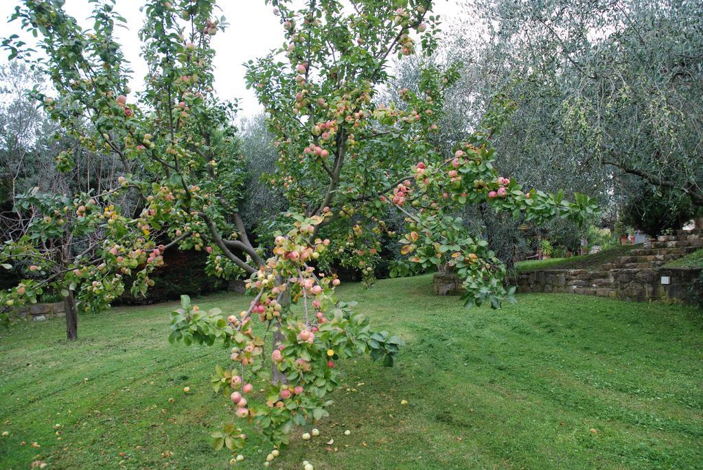 Podere Le Buche Pelago ภายนอก รูปภาพ